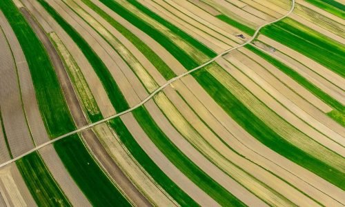 declan-sun-LFbHzAUCnsc-unsplash