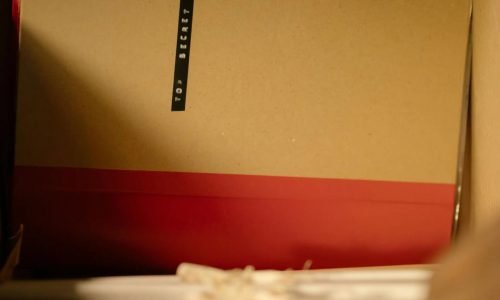 pexels-cottonbro-8371713