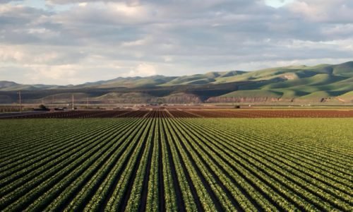 pexels-googledeepmind-17483910-copy