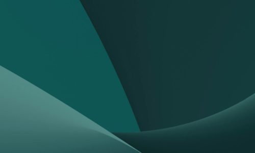 pexels-steve-13551577